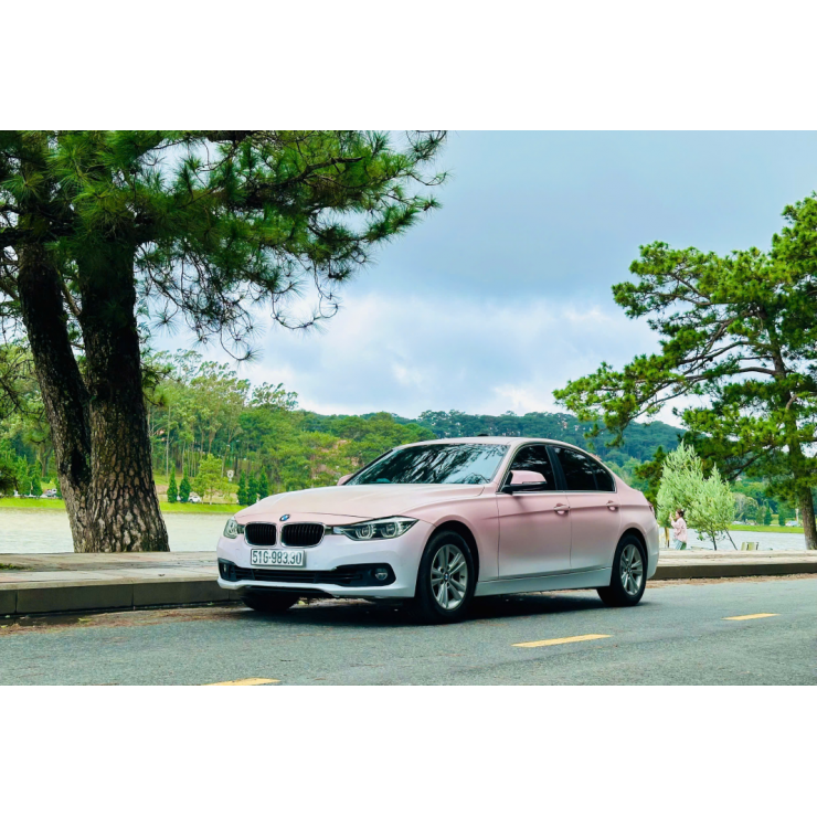 Bmw320i model 2019